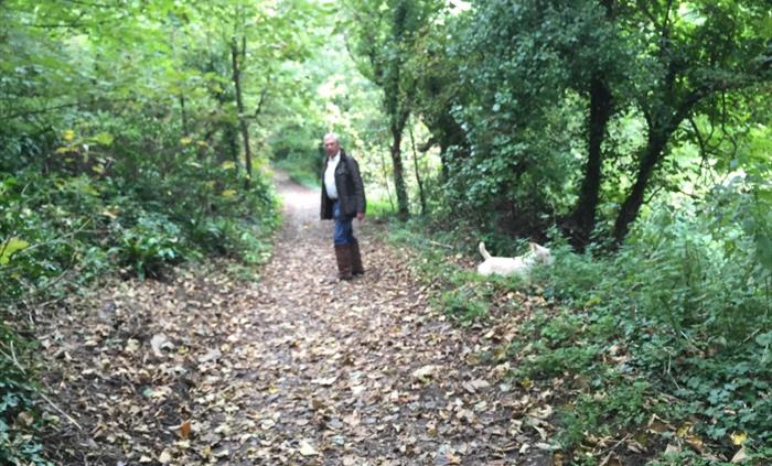 Woodland walk to beach